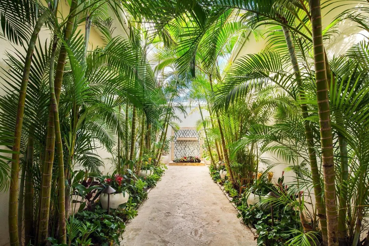 St. Regis Bahia Beach Resort, Puerto Rico Рио-Гранде Курортный комплекс