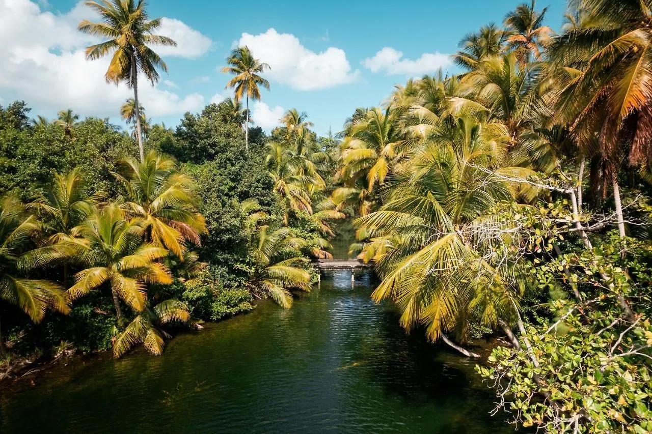 Resort St. Regis Bahia Beach Resort, Puerto Rico Rio Grande