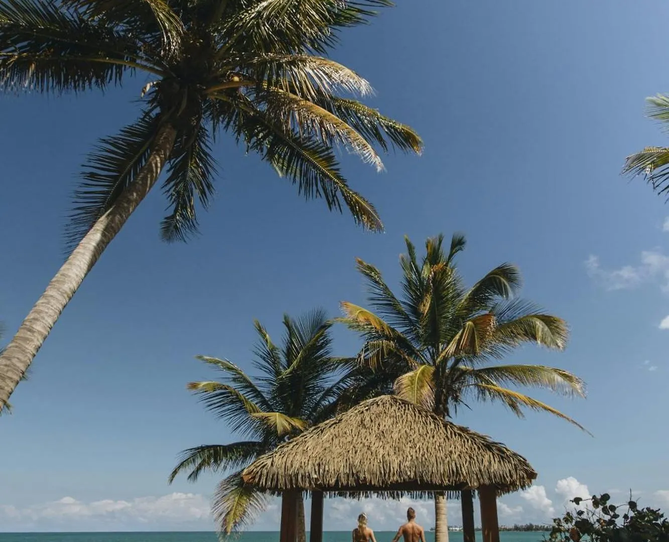 St. Regis Bahia Beach Resort, Puerto Rico Río Grande 5*,